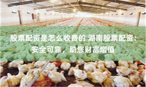 股票配资是怎么收费的 湖南股票配资:安全可靠,助您财富增值